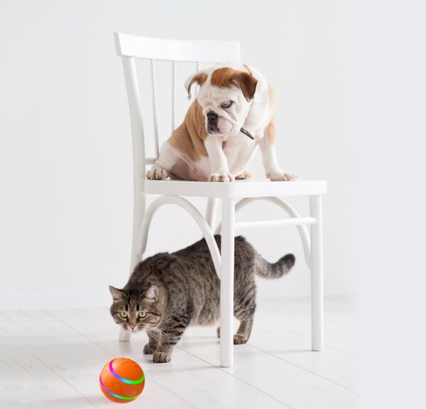 Pet New Cat Wicked Ball Toy Intelligent Ball USB Cat Toys Self Rotating Ball Automatic Rotation Ball - Image 8